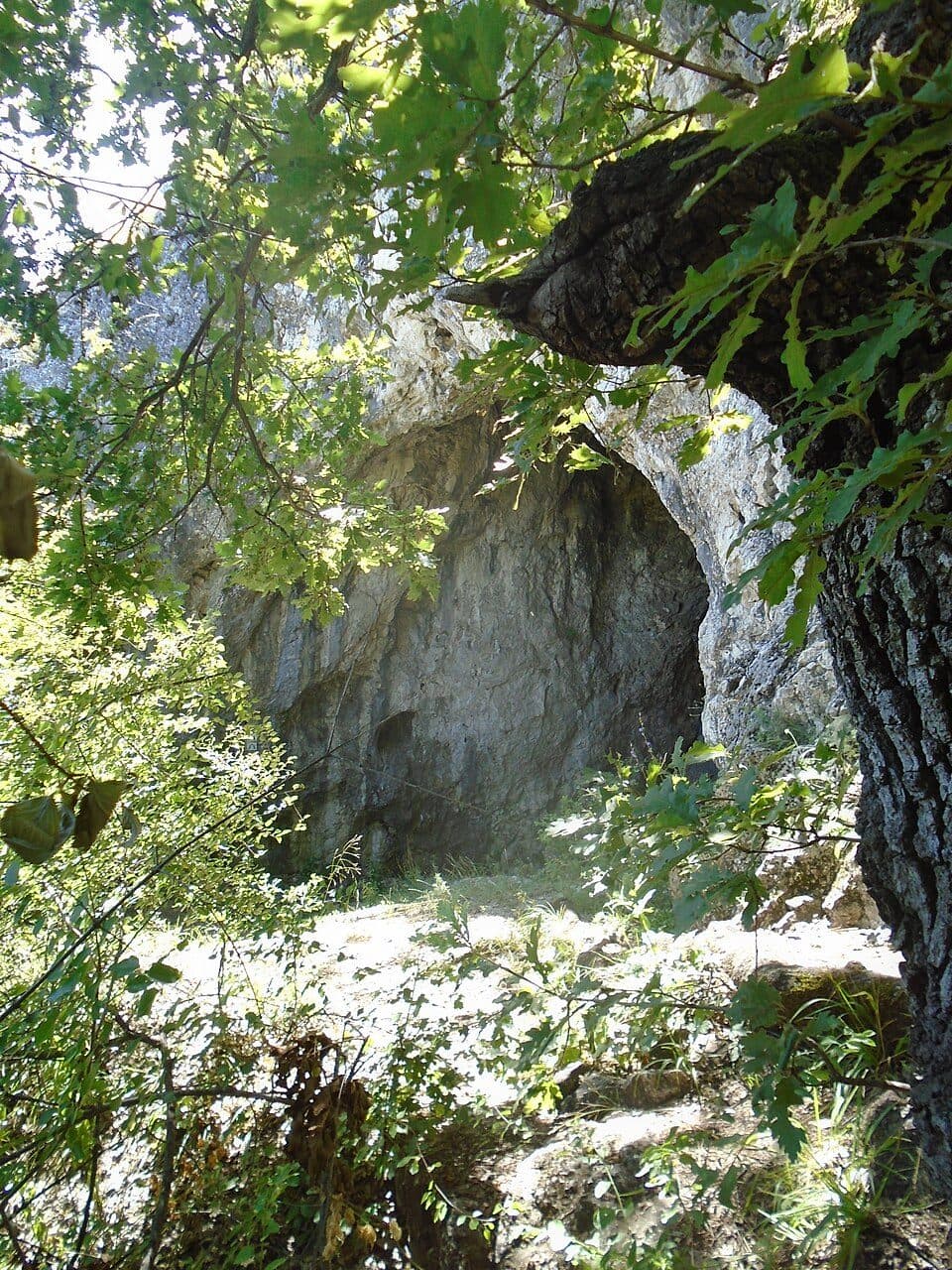 Z (Esztergom, hĂĄ. â MarĂłti-hegyek â Pilisszentkereszt)