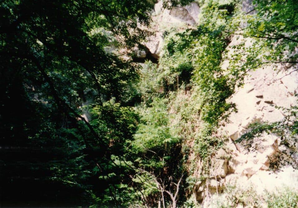 Domini-barlang