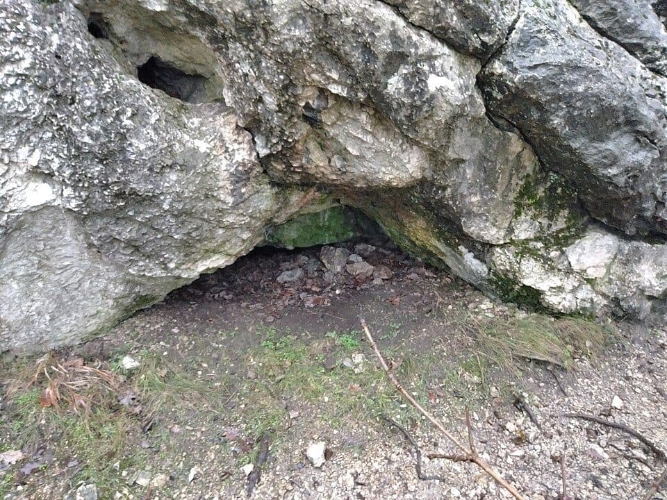 P (Csillaghegy – Dömös)