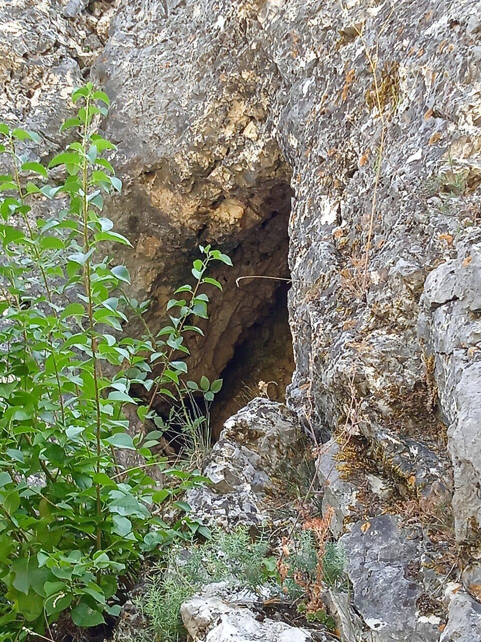 Óra-fali-sziklaodú