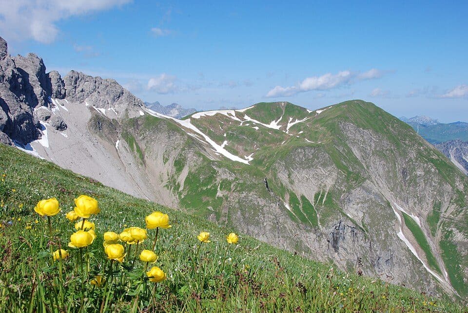 Fürschießer