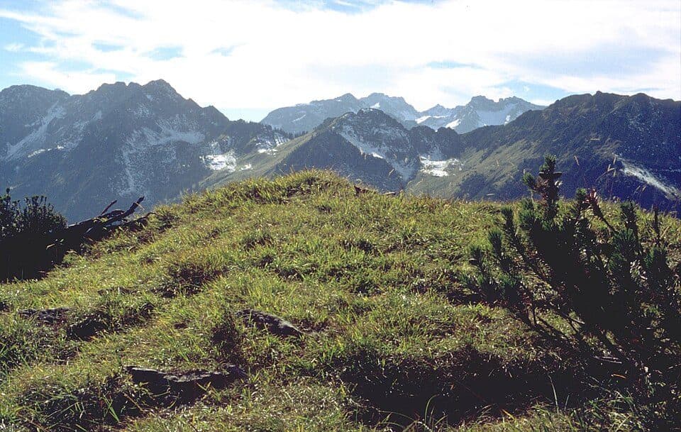 Vorderer Wildgundkopf