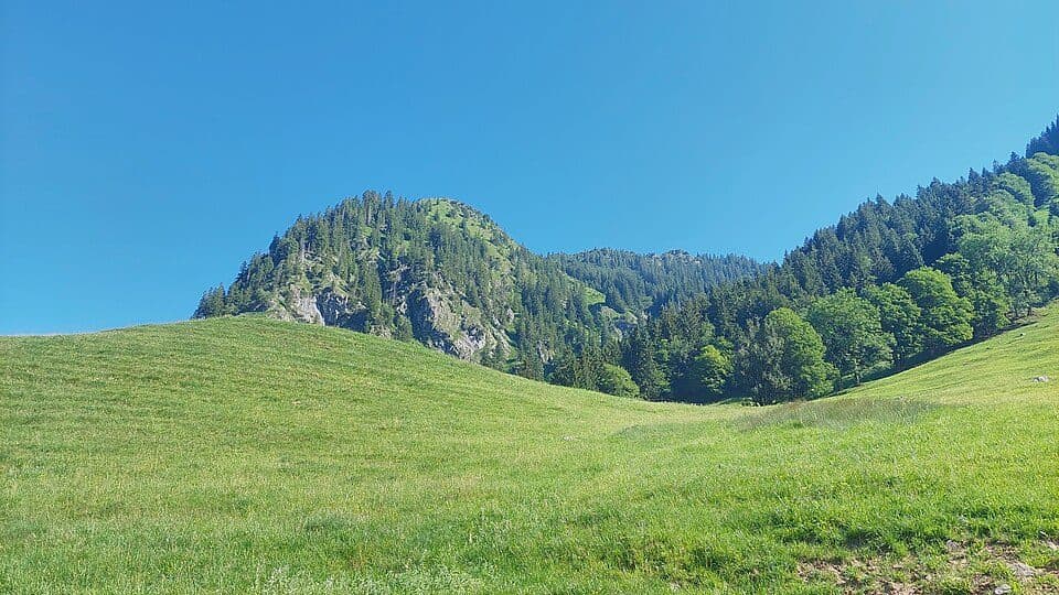 Älpelekopf