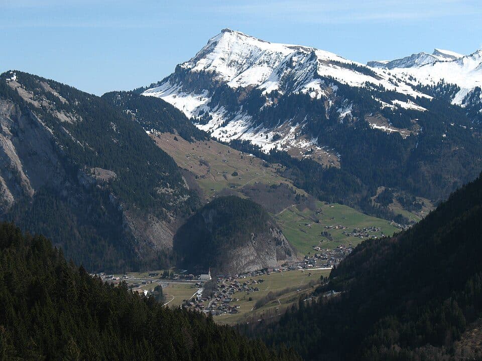 Diedamskopf