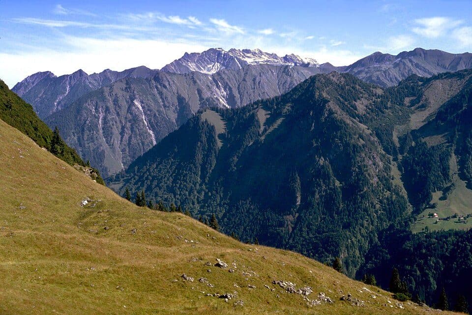 Riefenkopf