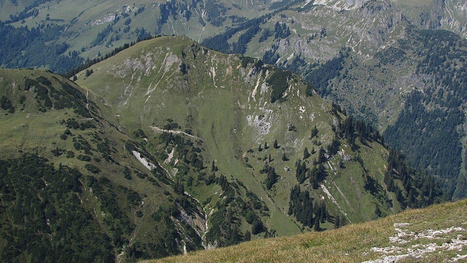 Rosskopf