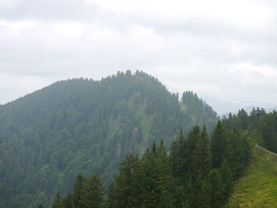 Vorderer Prodel