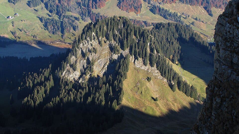 Mohrenkopf