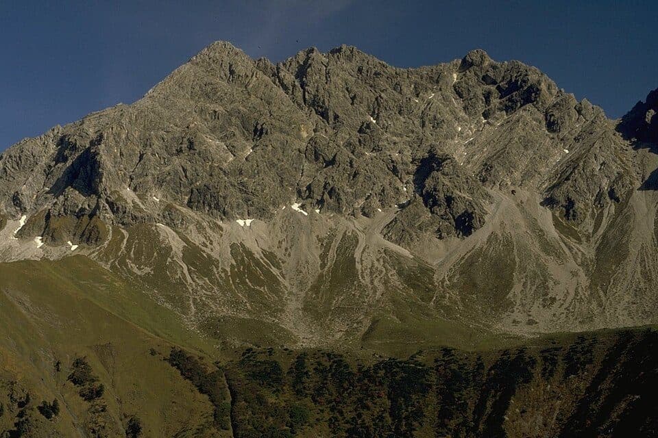 Großer Wilder