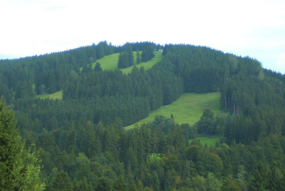 Iberg