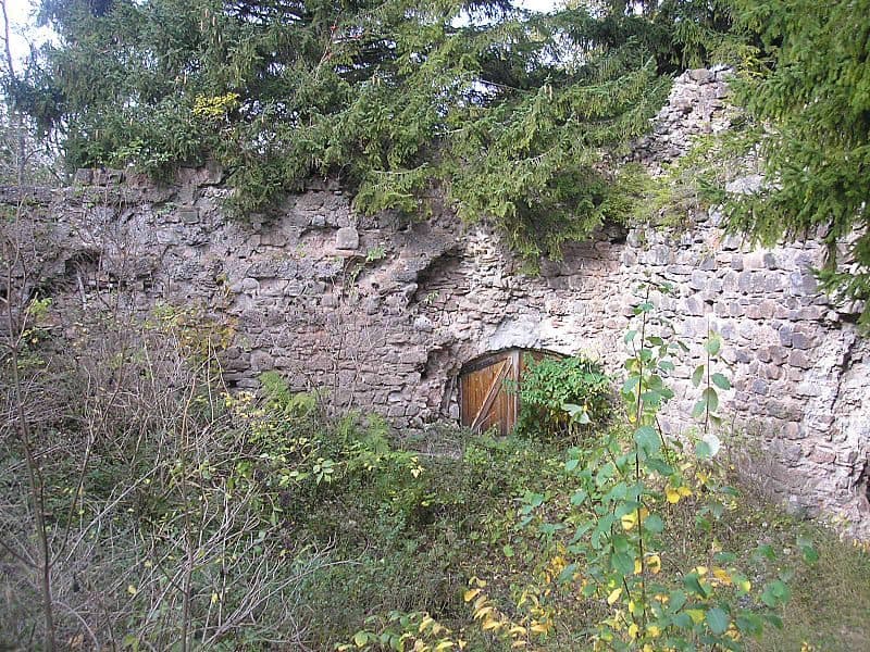 Ruine Nesselburg