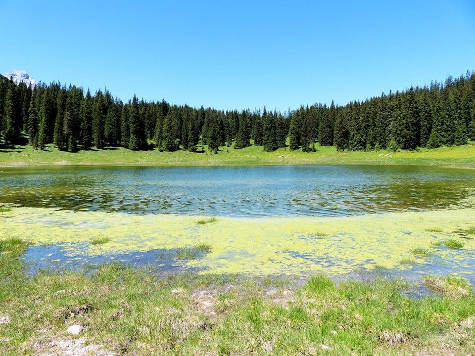 Igelsee