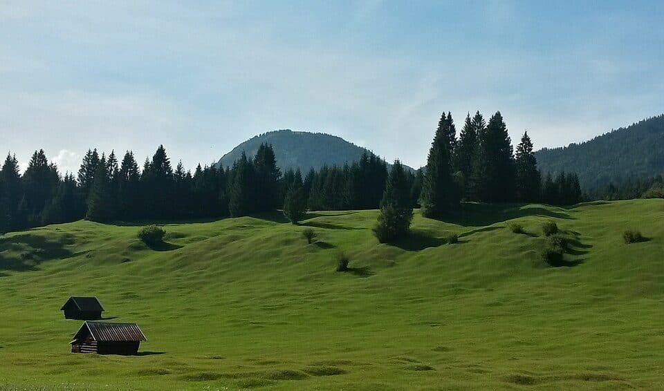 Buckelwiesen am Plattele