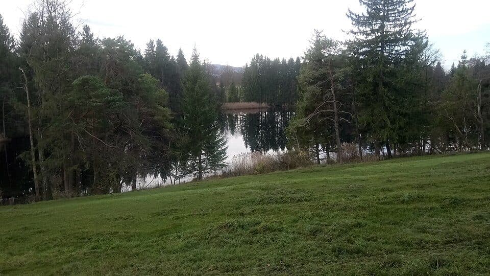 Fernweiher