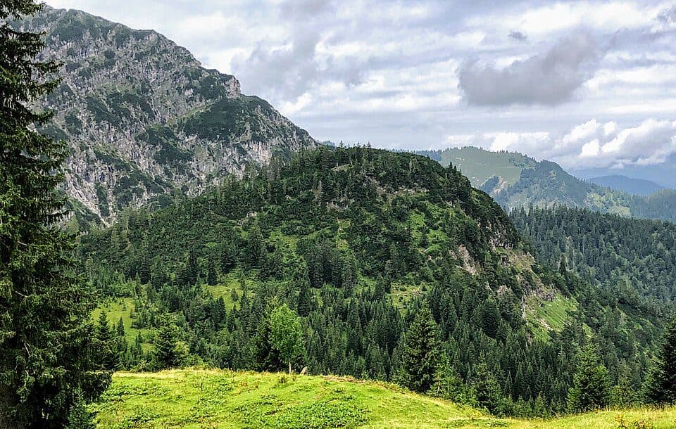Rosskopf