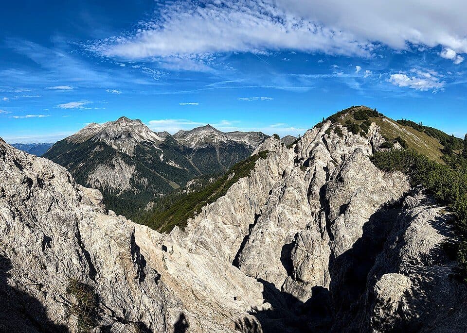 Wechselkopf