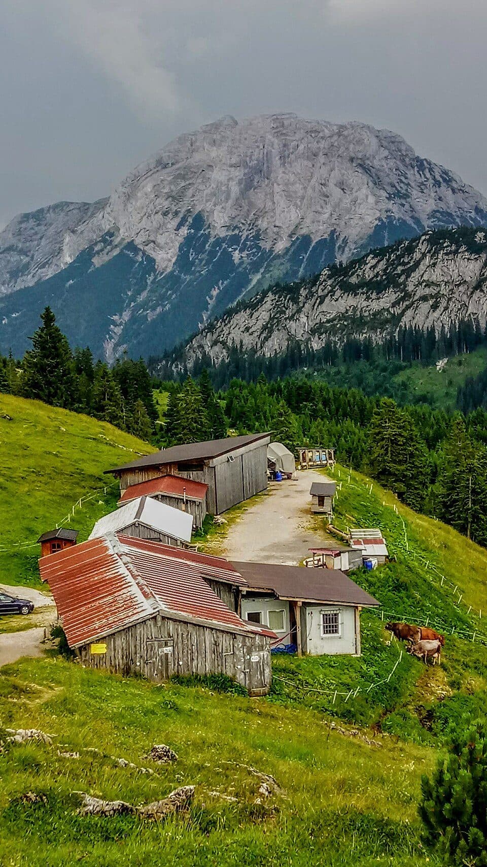 Jausenstation Blaubergalm