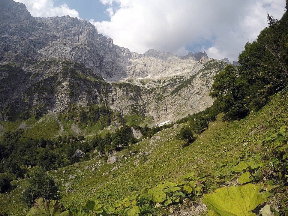 Tortal