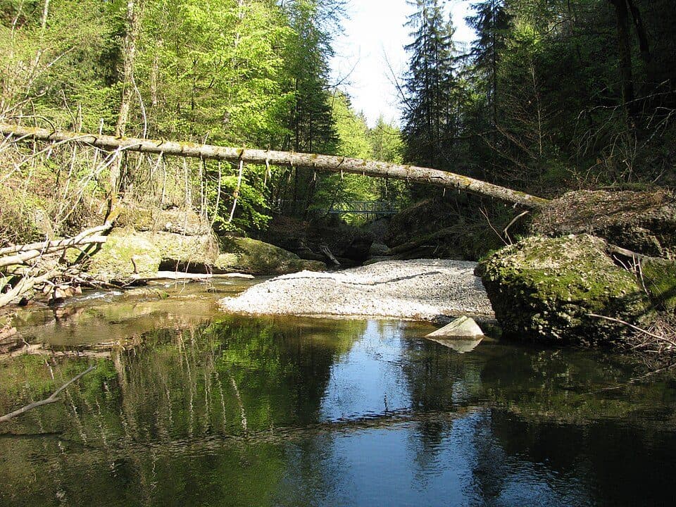 Eistobel