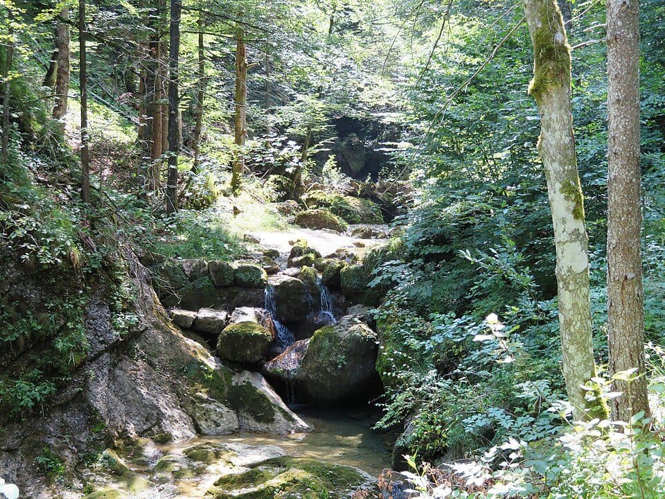 Steigbachtobel