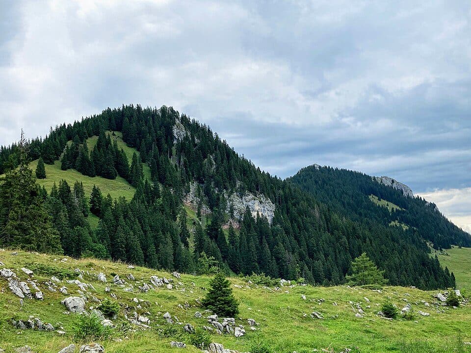 Rotwandlspitz