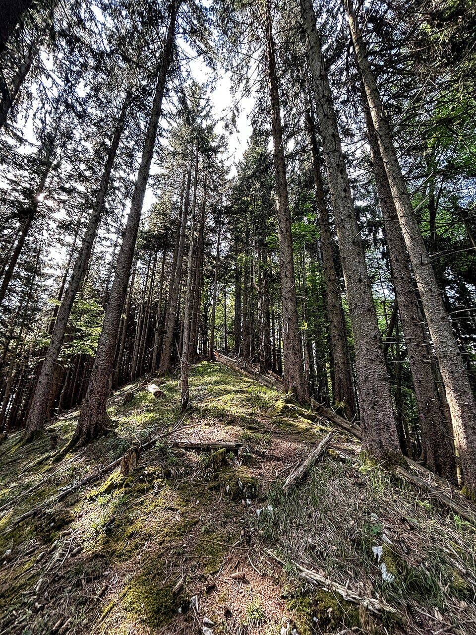 Eibberg