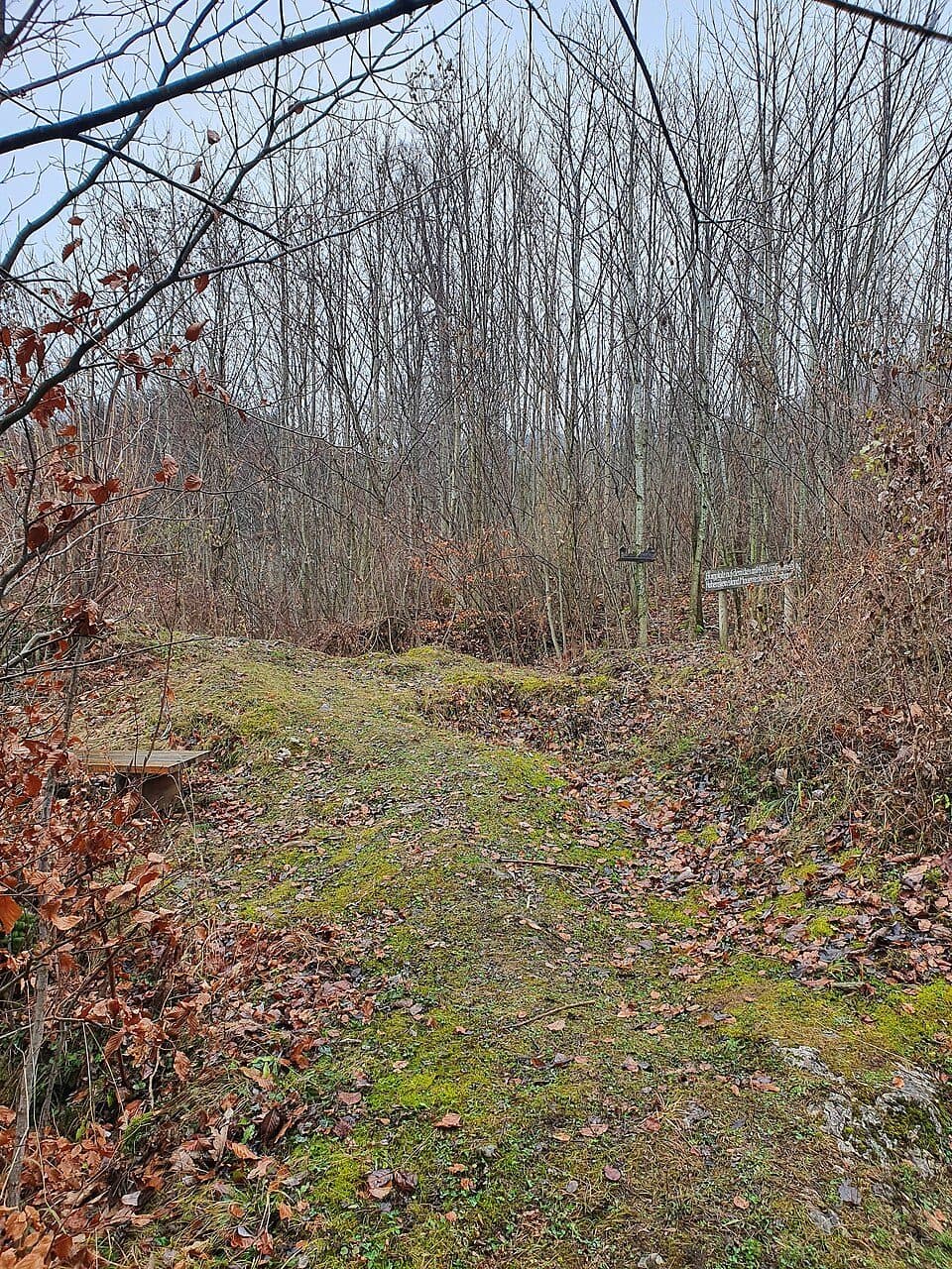 Burgstall Hohenstein