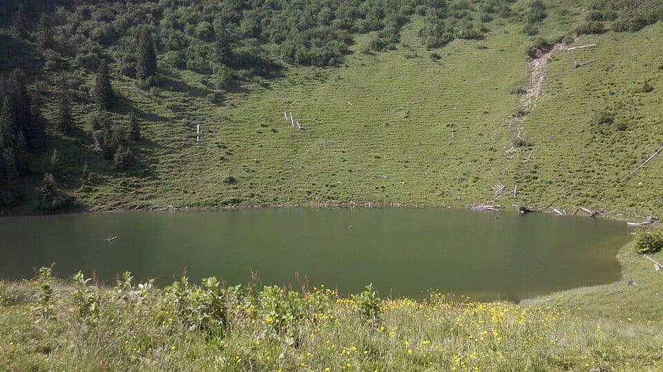 Grünsee