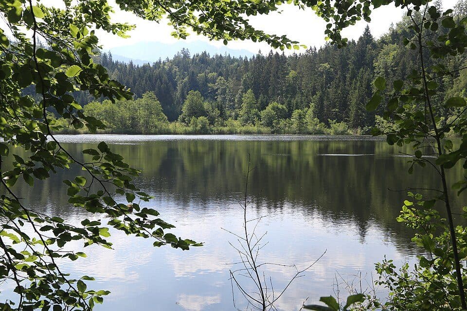Egelsee (Tirol)