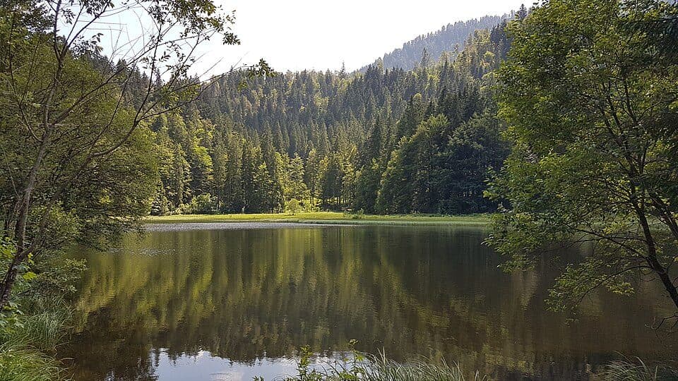 Suttensee