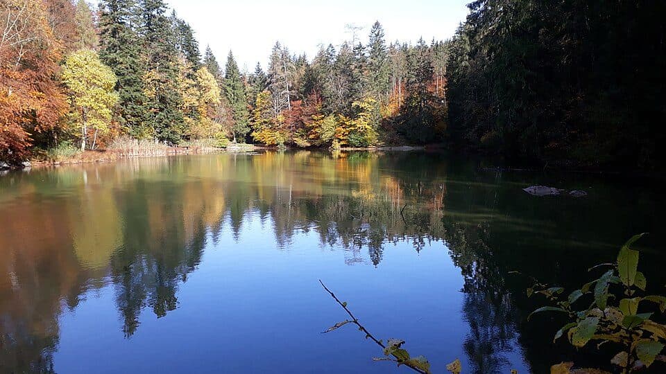 Taubensee
