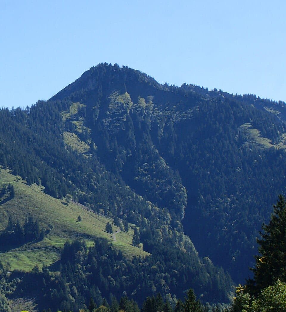 Alpkopf