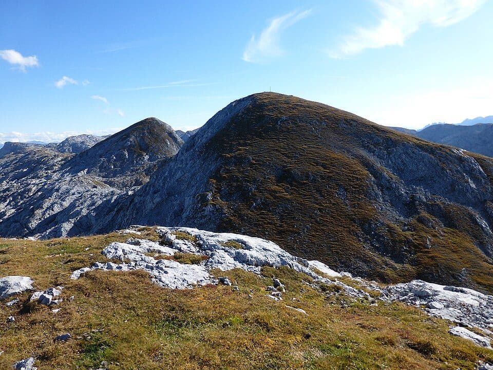 Wieselstein
