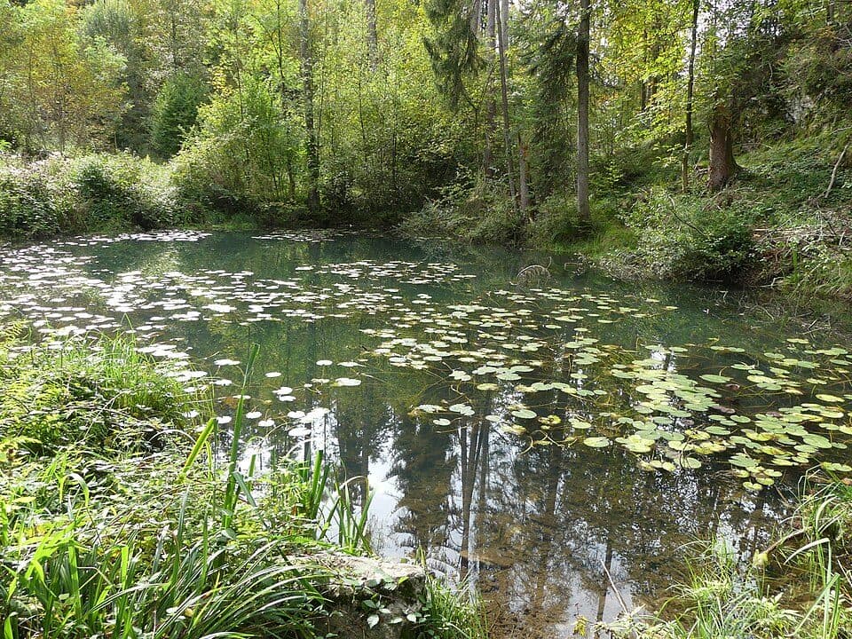 Egelsee