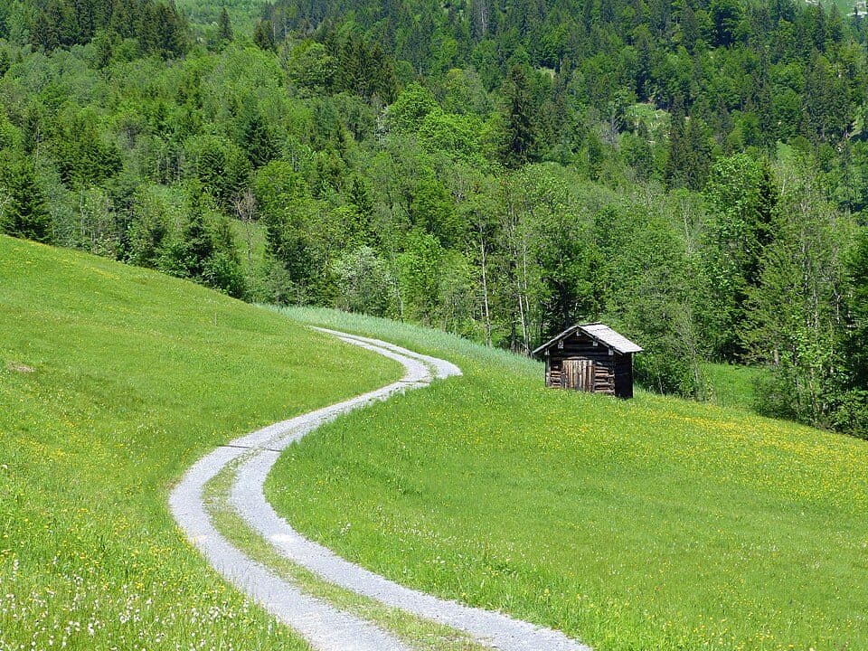 Naturschutzgebiet Auer Ried