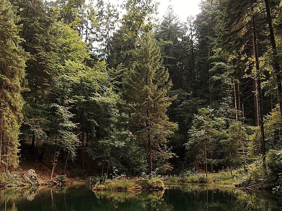 Schwarzer See