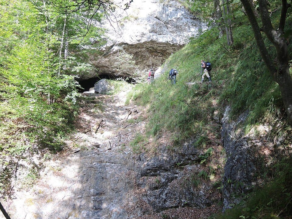 Scheukofen