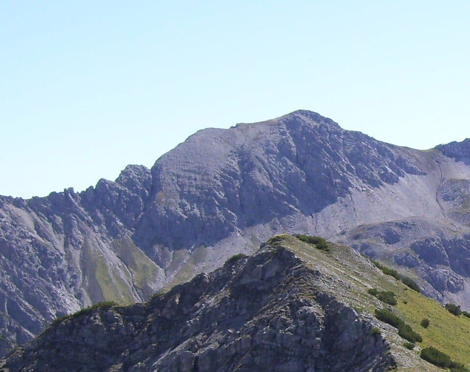 Tagweidkopf