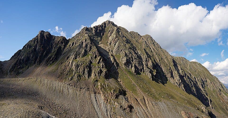 Großer Trögler