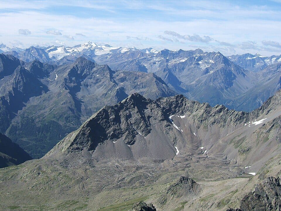 Gänsekragen