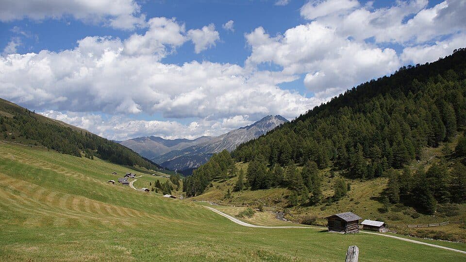 Rojental