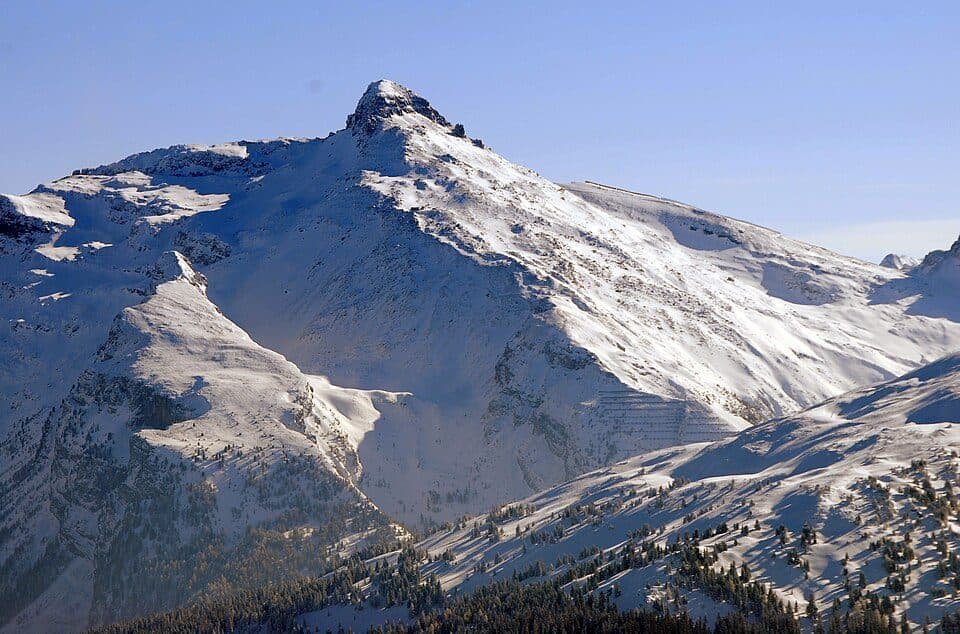 Wolfendorn