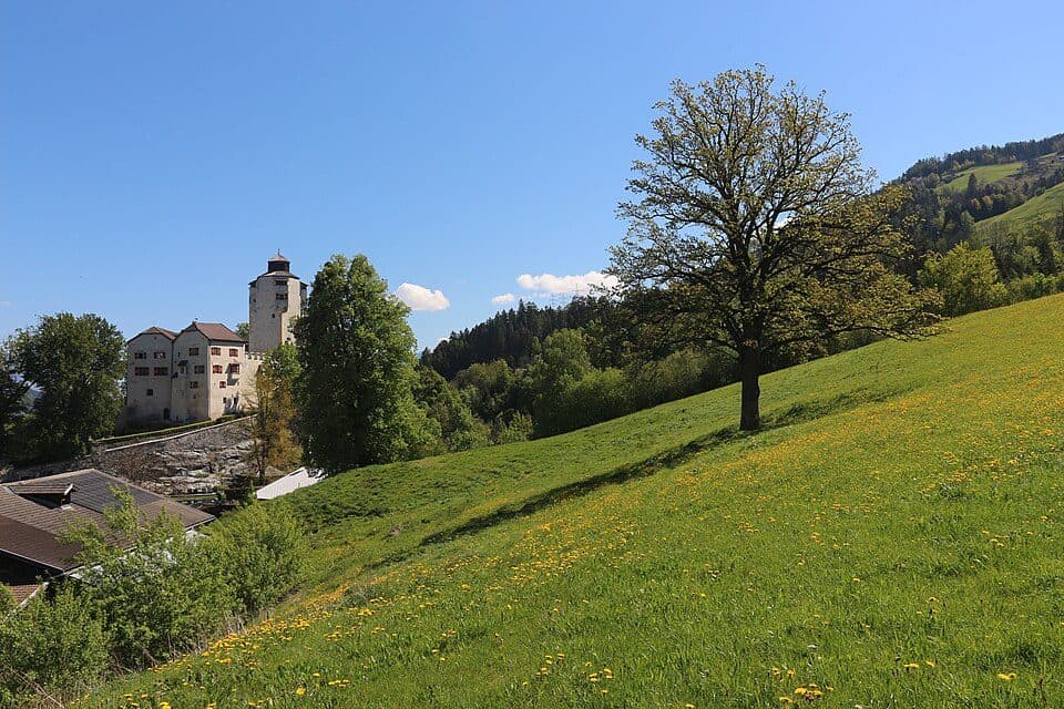 Hirschlacke
