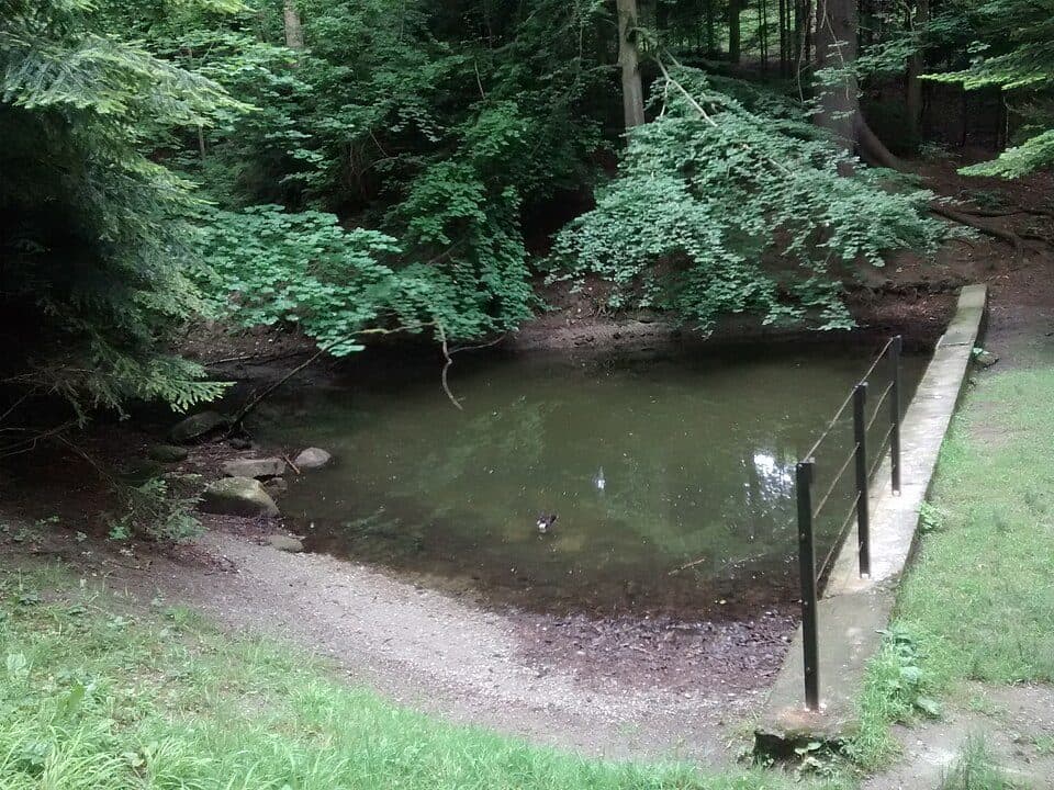 Kleiner Weiher