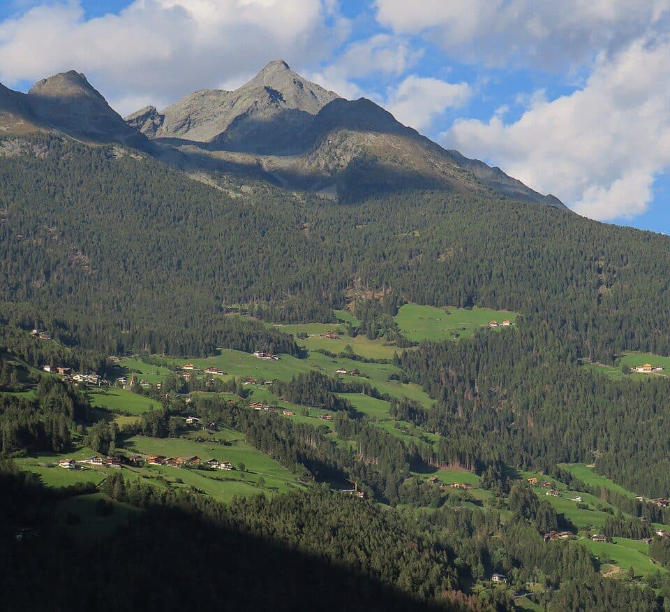Großer Moosstock