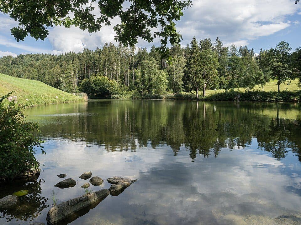 Buchsee