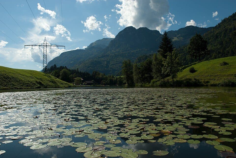 Krummsee