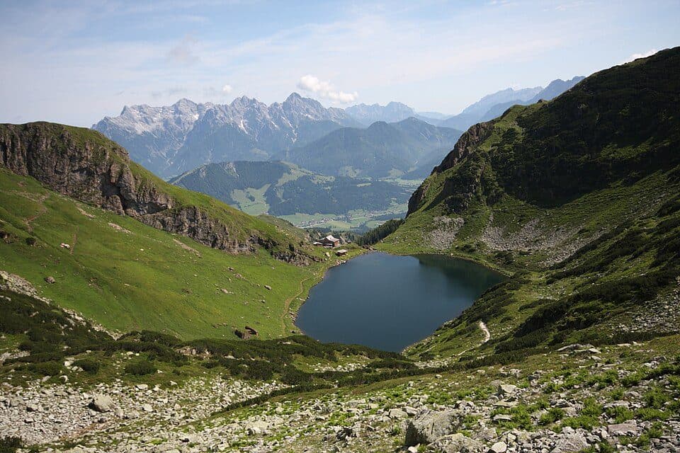Wildsee
