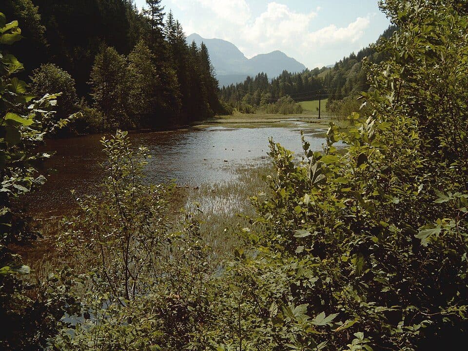 Wiesensee