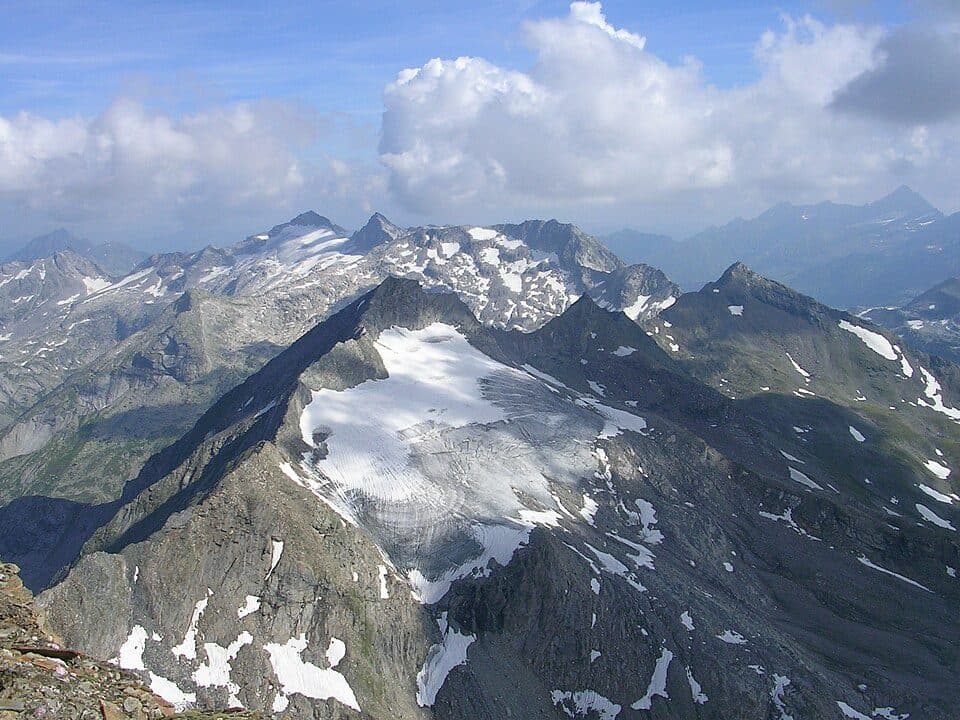 Grauer Schimme